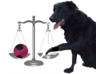 Scale of Justice
